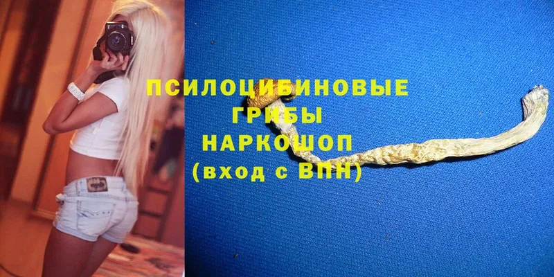 Галлюциногенные грибы GOLDEN TEACHER  Асино 