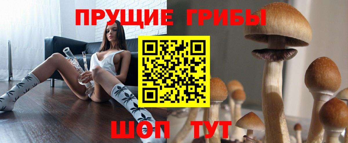 Псилоцибиновые грибы ЛСД  Асино 