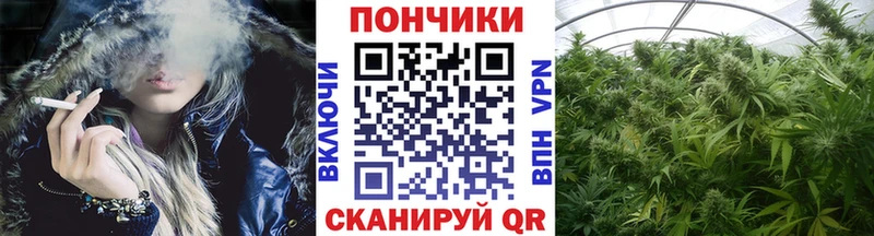 кракен tor  купить наркотики сайты  Асино  МАРИХУАНА ГИДРОПОН 