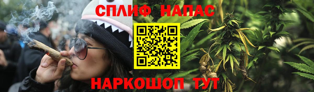 Каннабис индика Асино